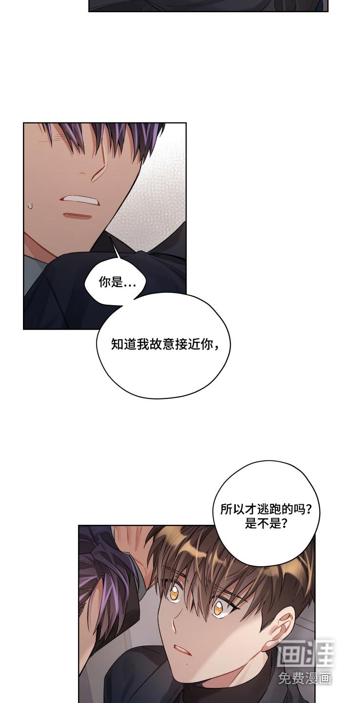 第67章：放开