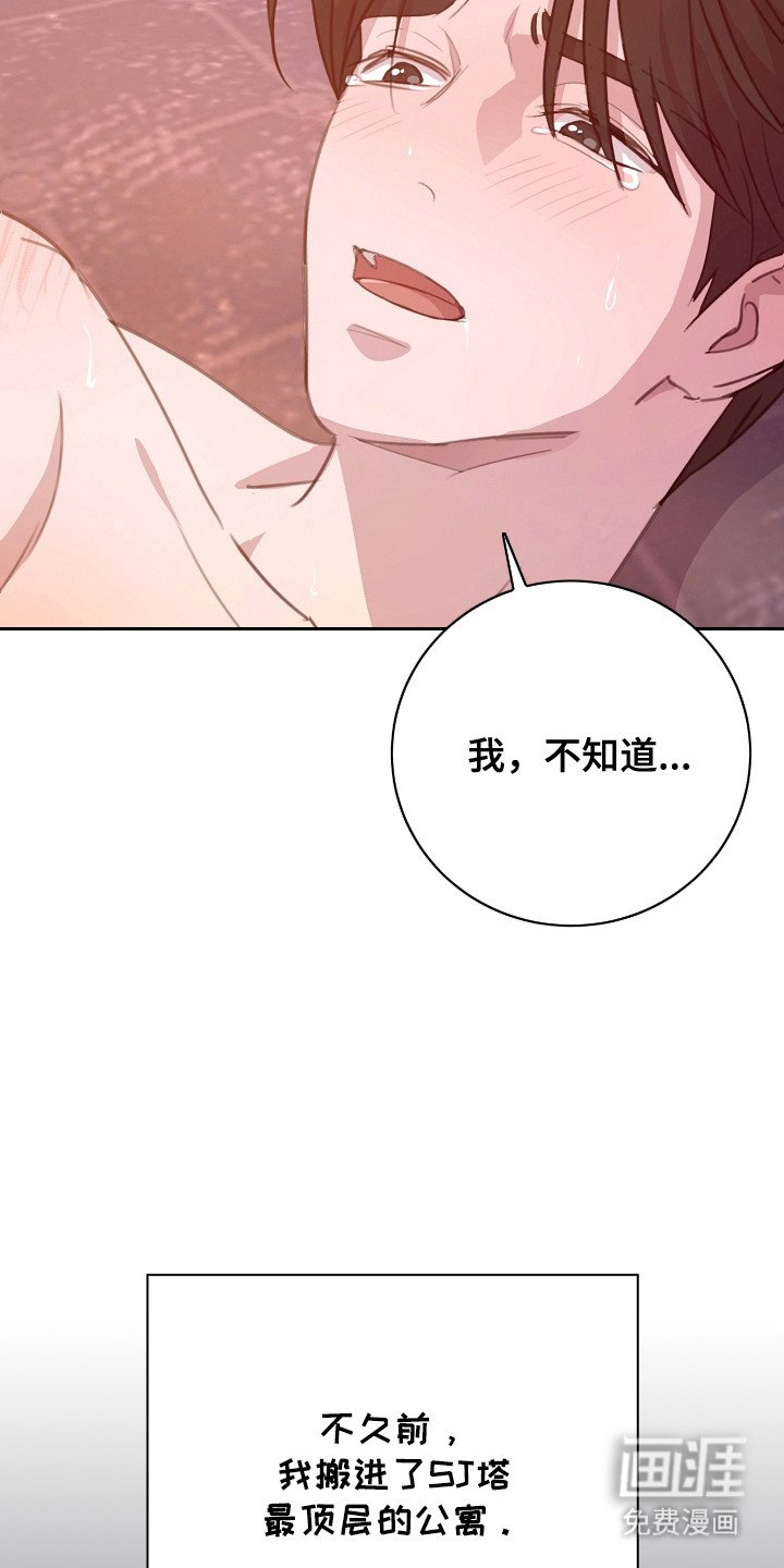 第10章：会长来电