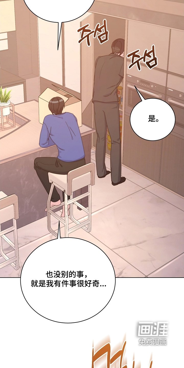 第15章：什么都可以
