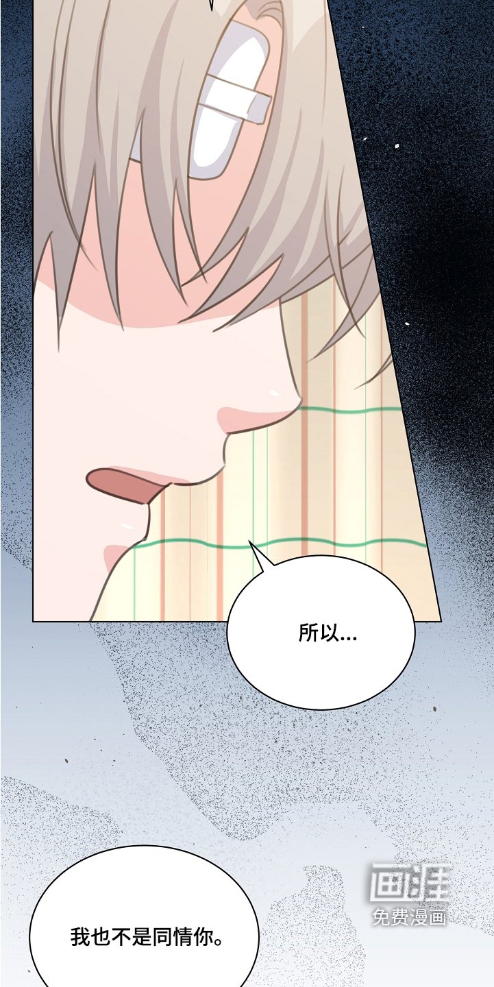 第41章：一个机会
