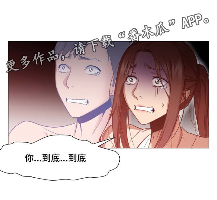 第11章：解释