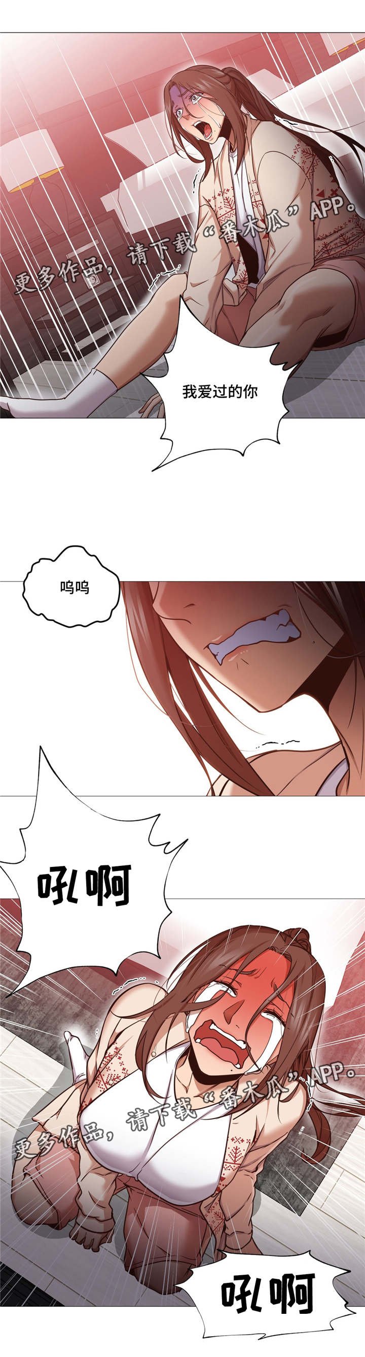 第11章：解释