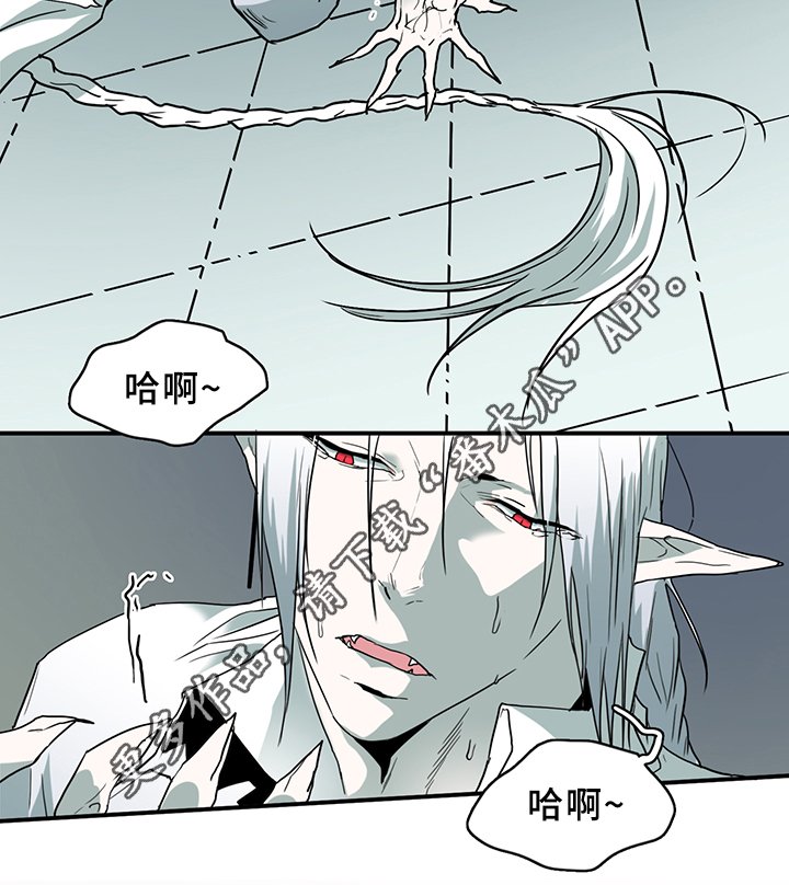 第100章：狩猎开始