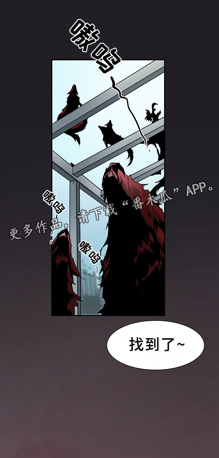 第100章：狩猎开始