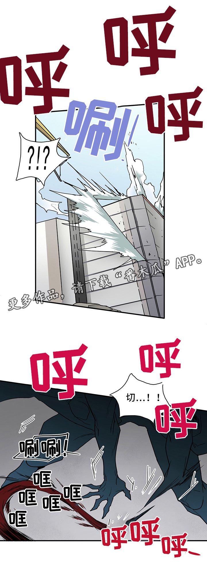 第105章：谨慎