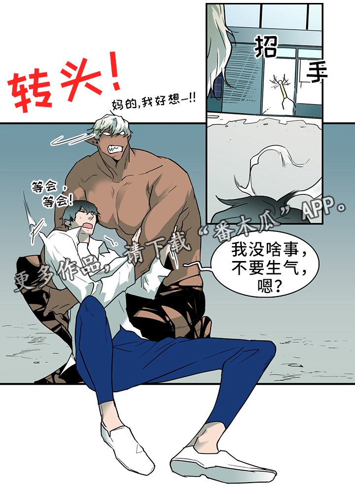 第109章：进入结界