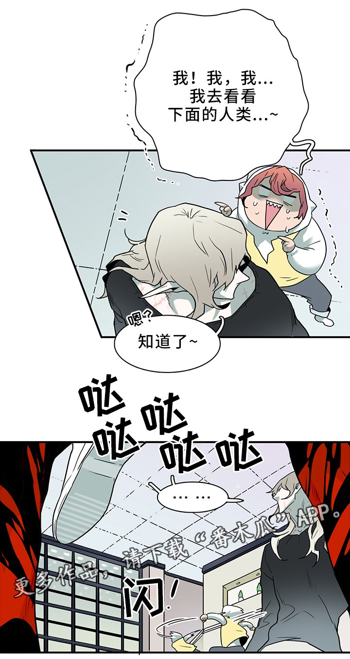 第109章：进入结界