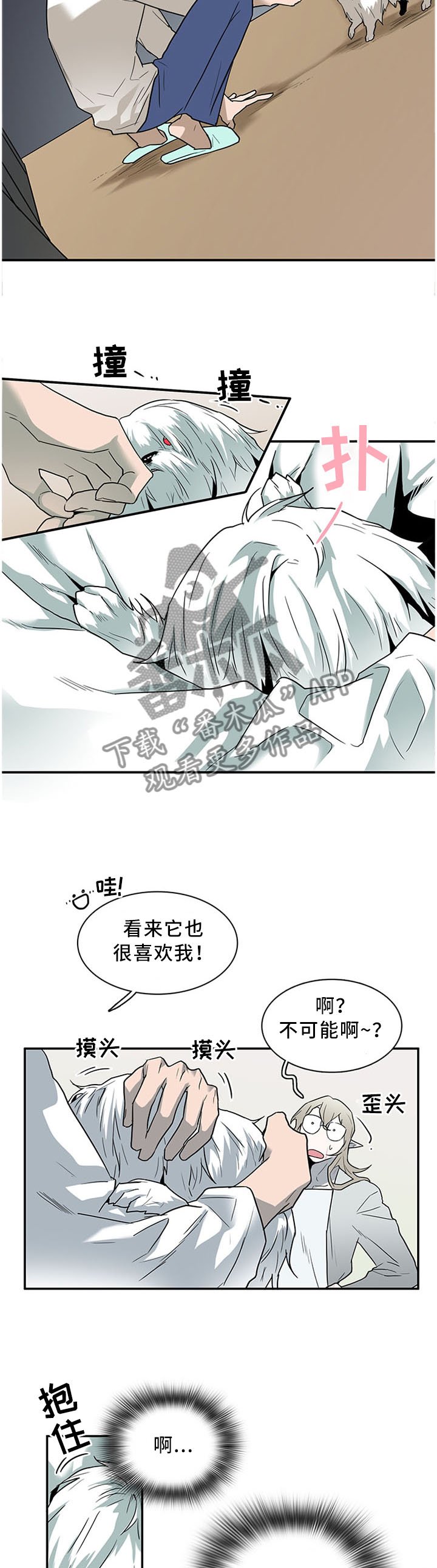 第120章：温暖的感觉