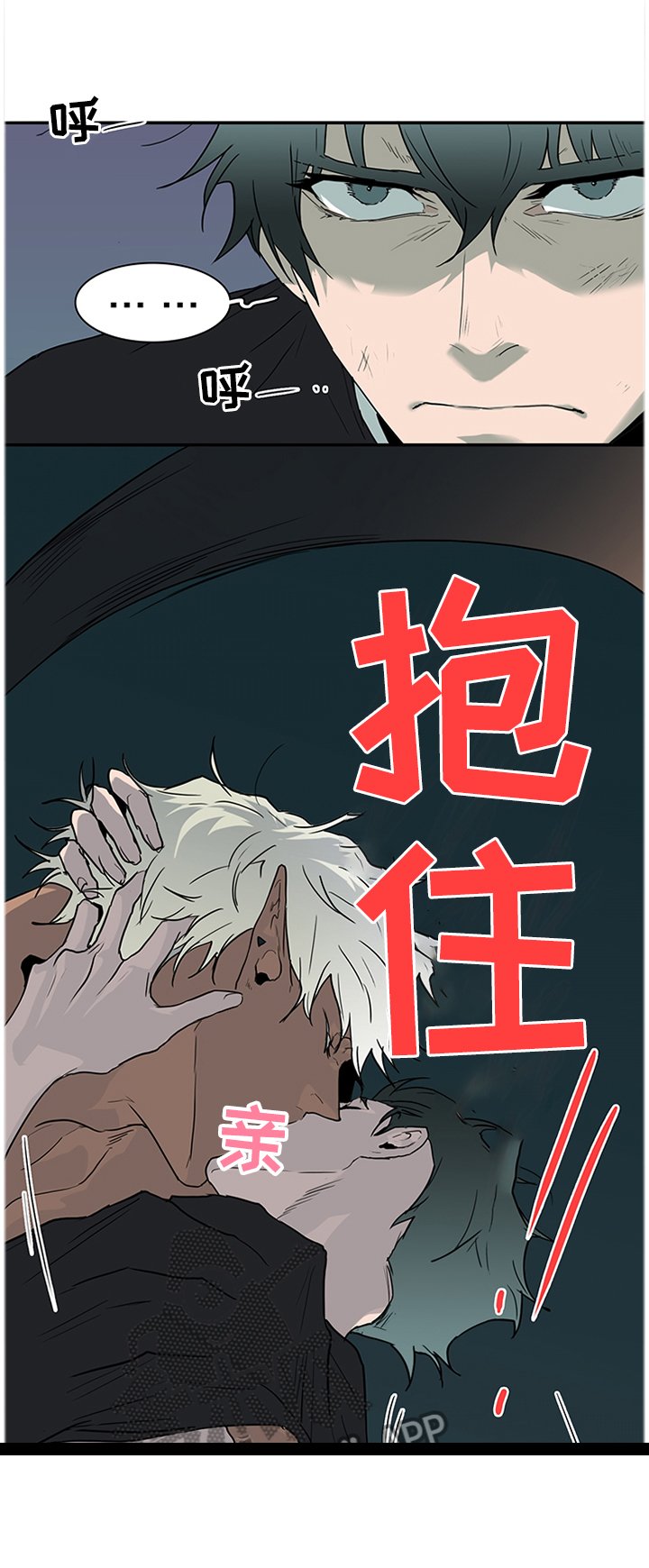 第135章：我的朋友
