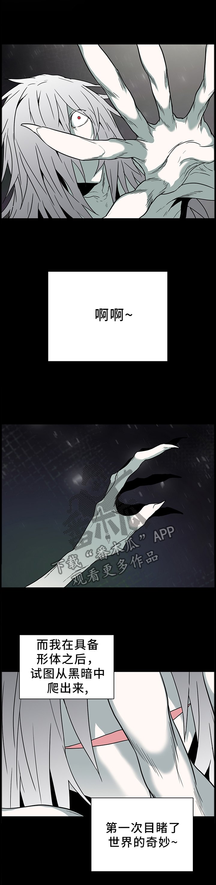 第137章：再次对决