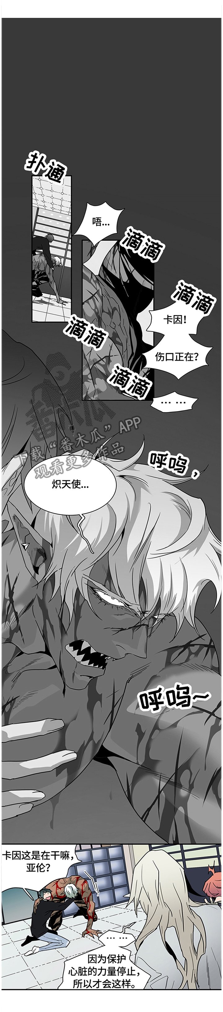 第140章：结盟