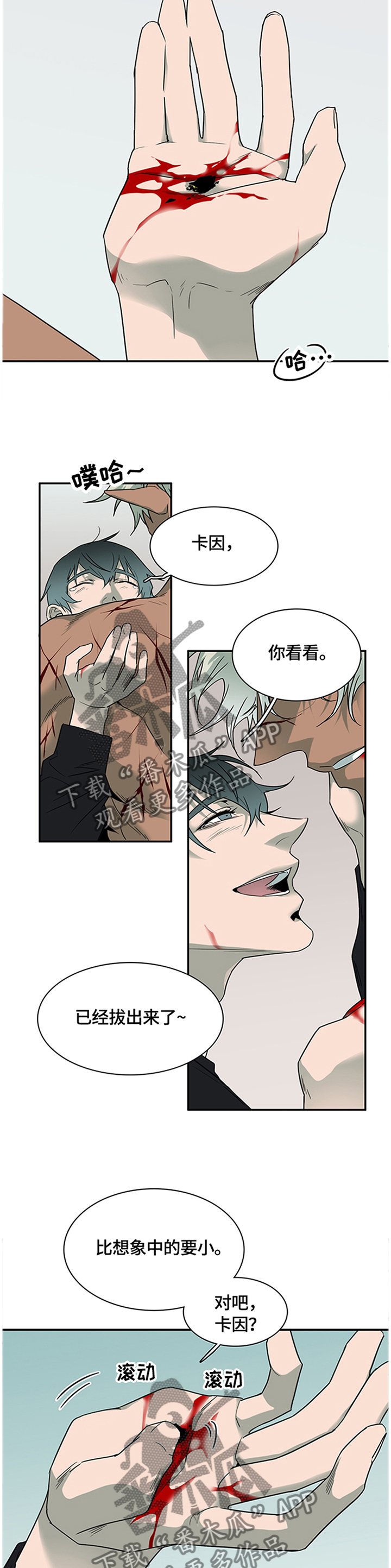 第143章：继续