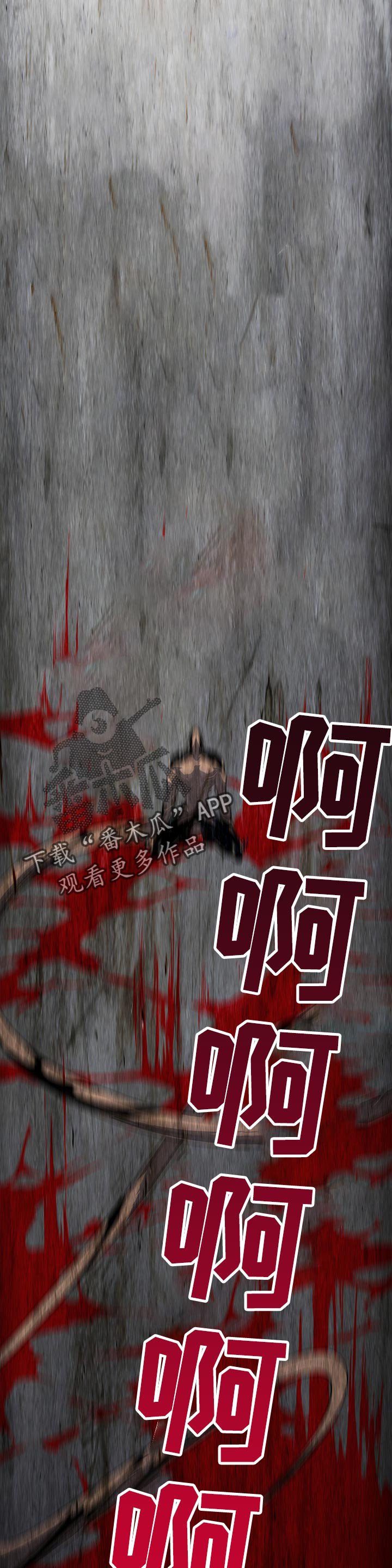 第160章：开启