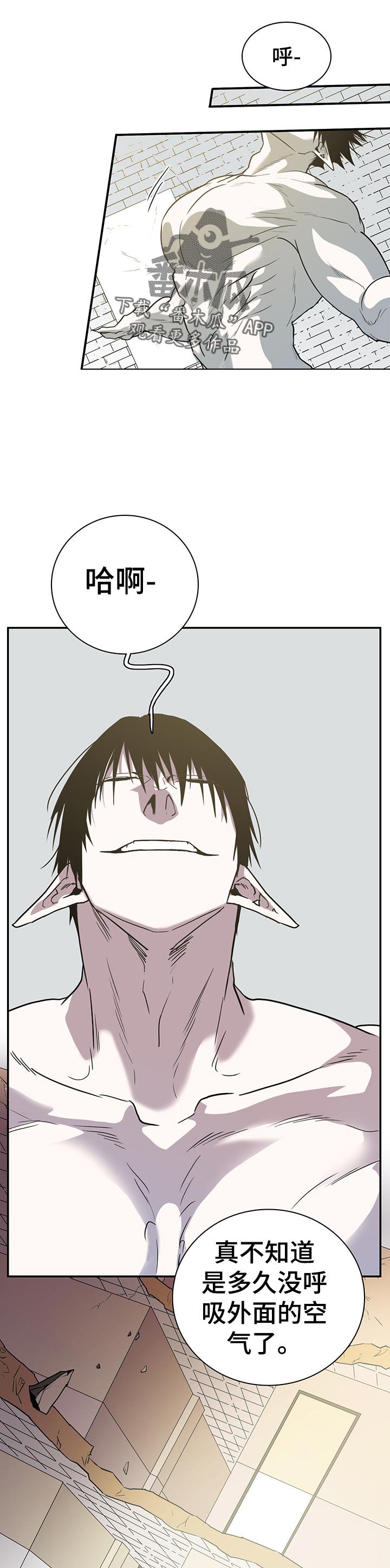 第161章：外面的空气