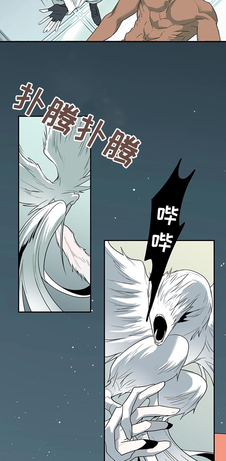 第164章：我回来了
