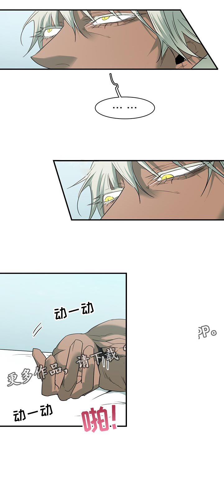 第164章：我回来了