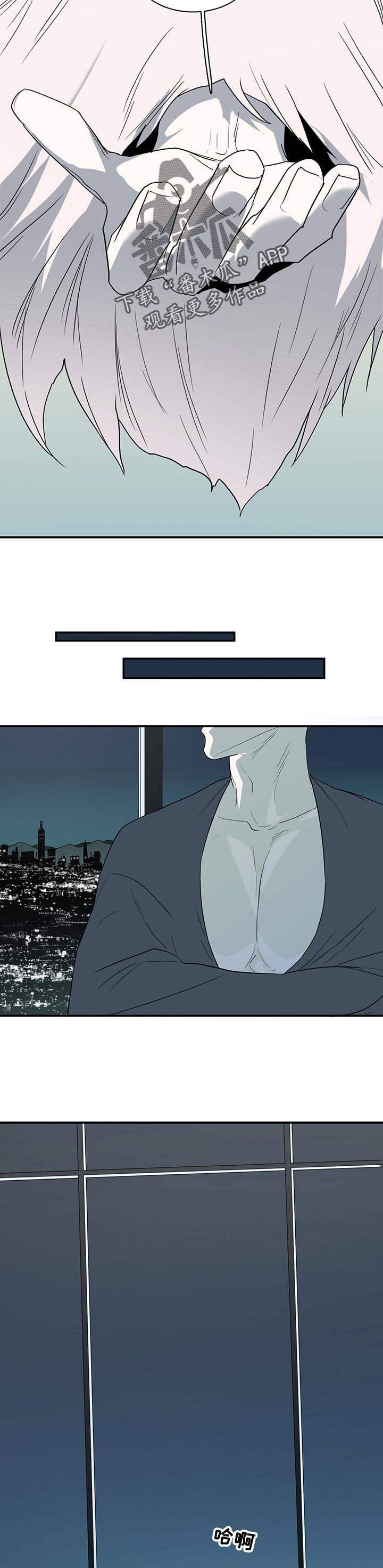 第165章：验证