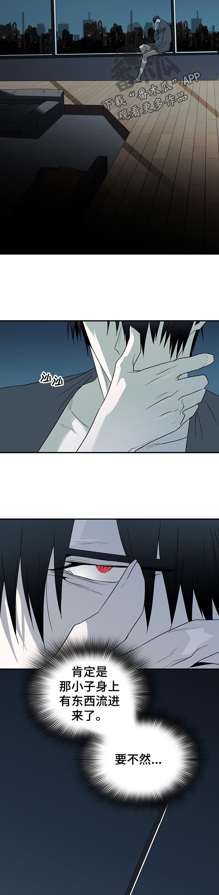 第165章：验证
