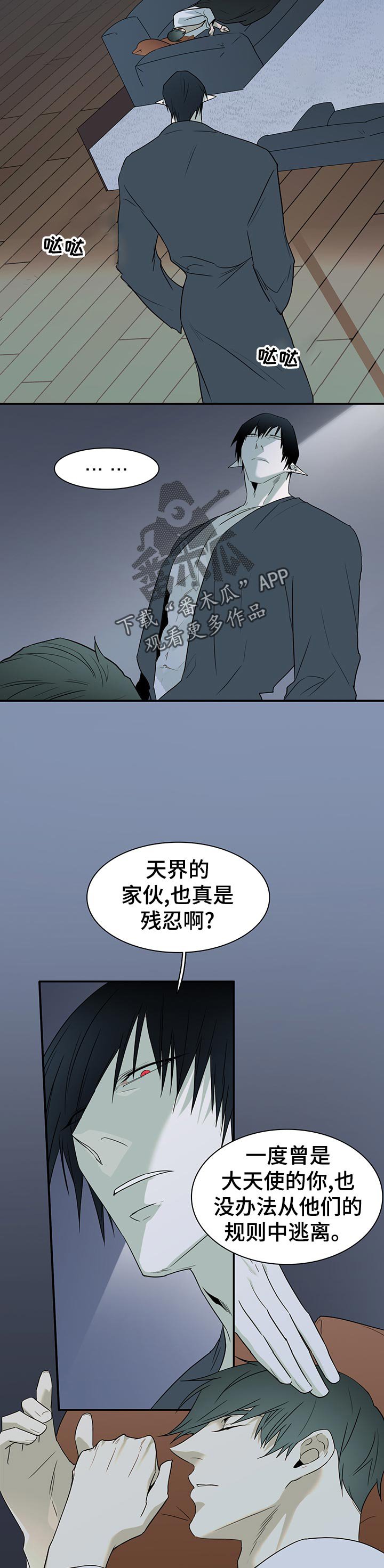 第165章：验证
