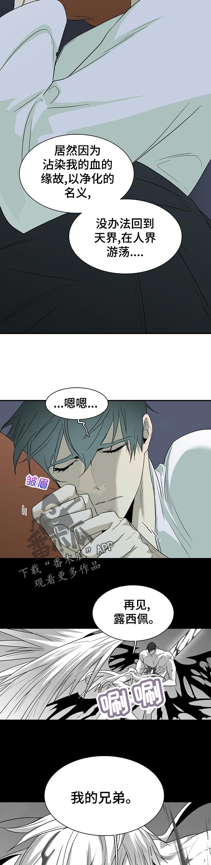 第165章：验证