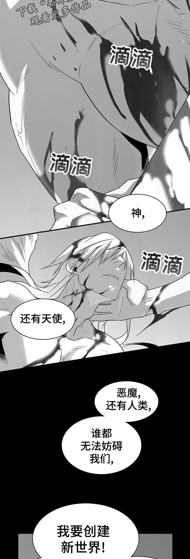 第165章：验证