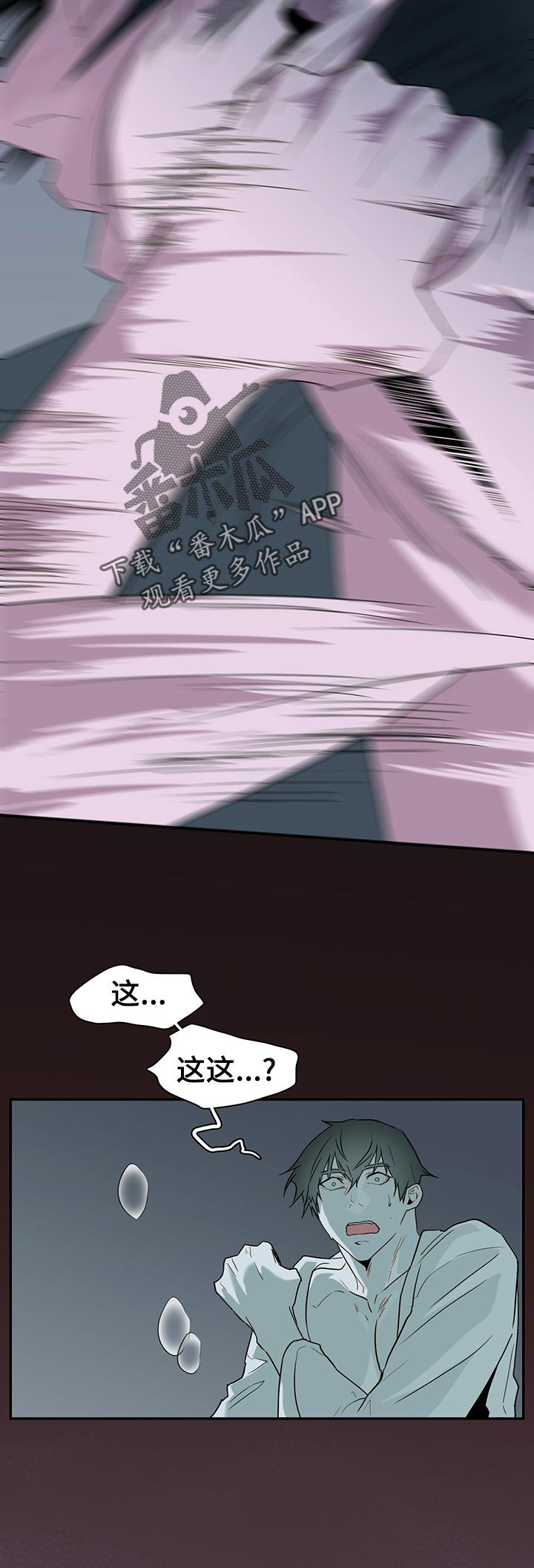 第165章：验证