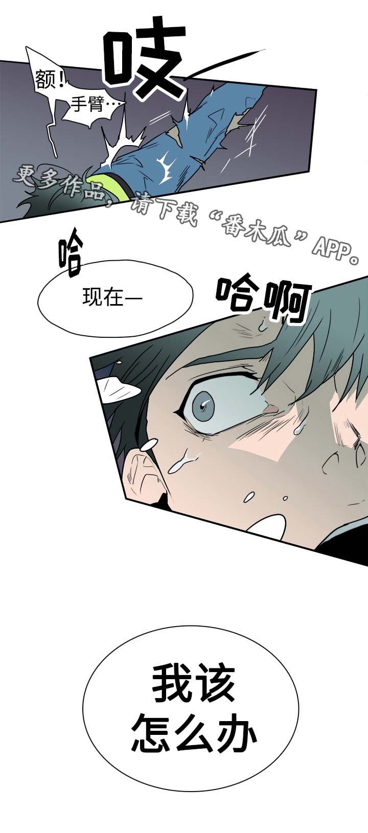 第17章：支援到来