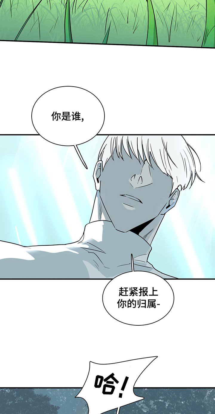 第173章：独角兽