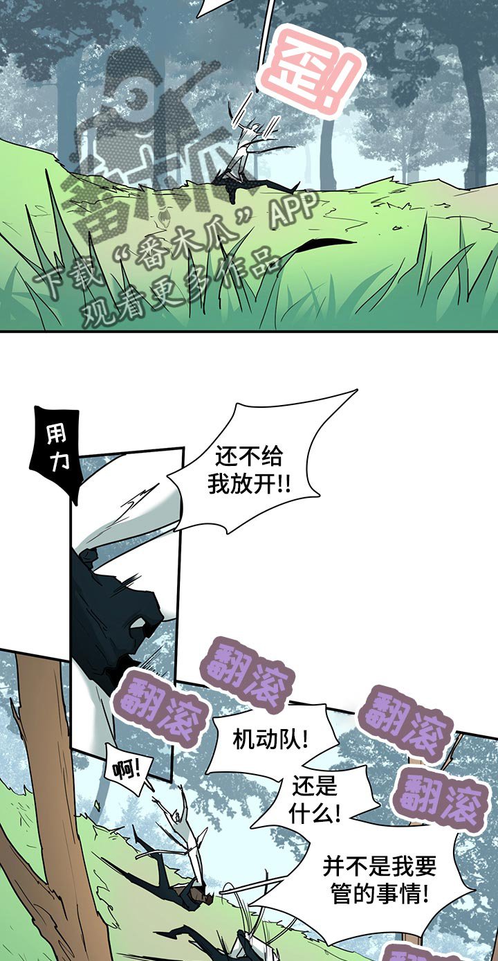 第173章：独角兽