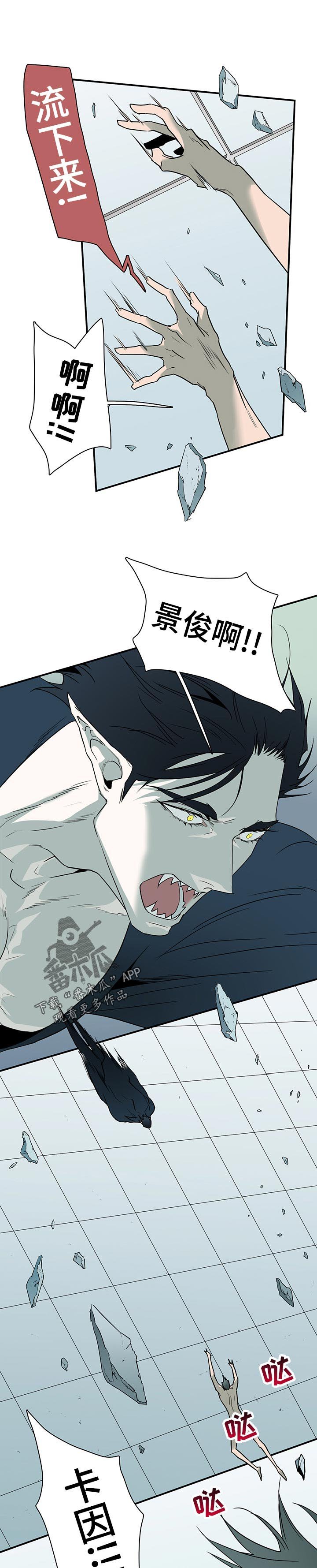 第195章：分离