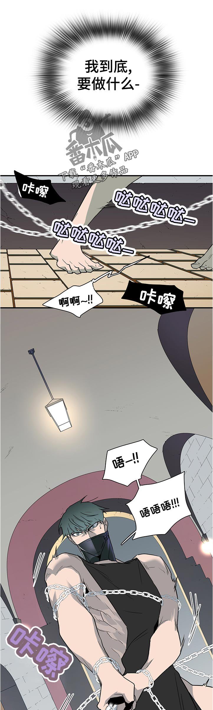 第203章：不一样
