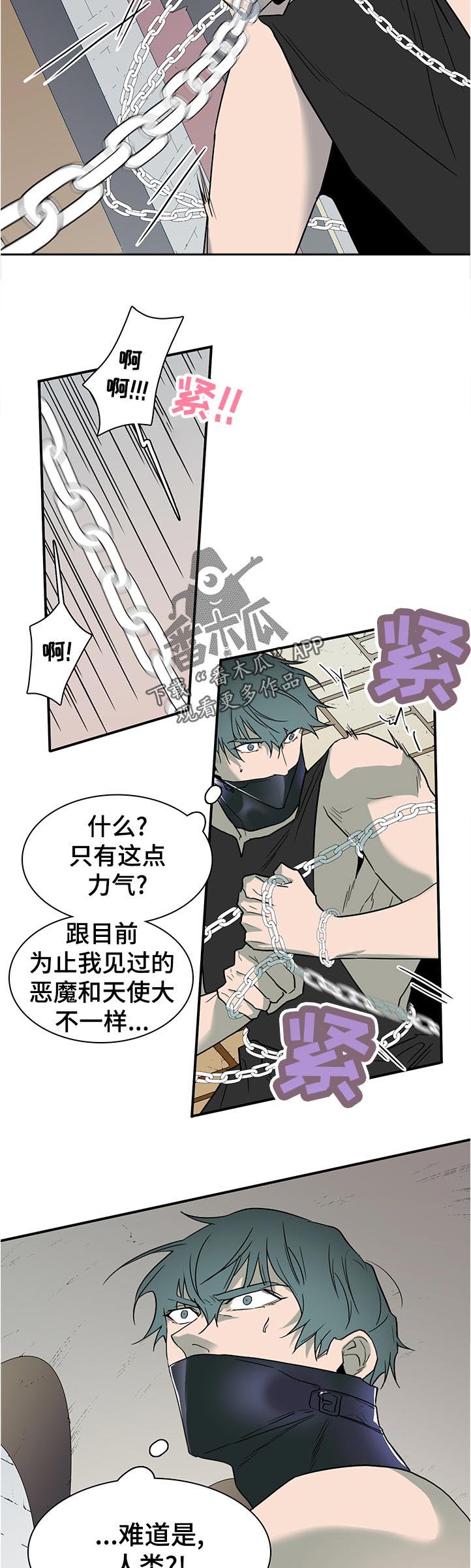 第203章：不一样