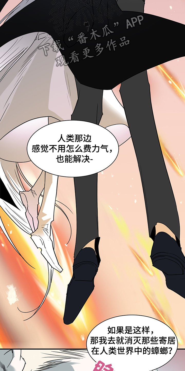 第234章：天使与恶魔的合作