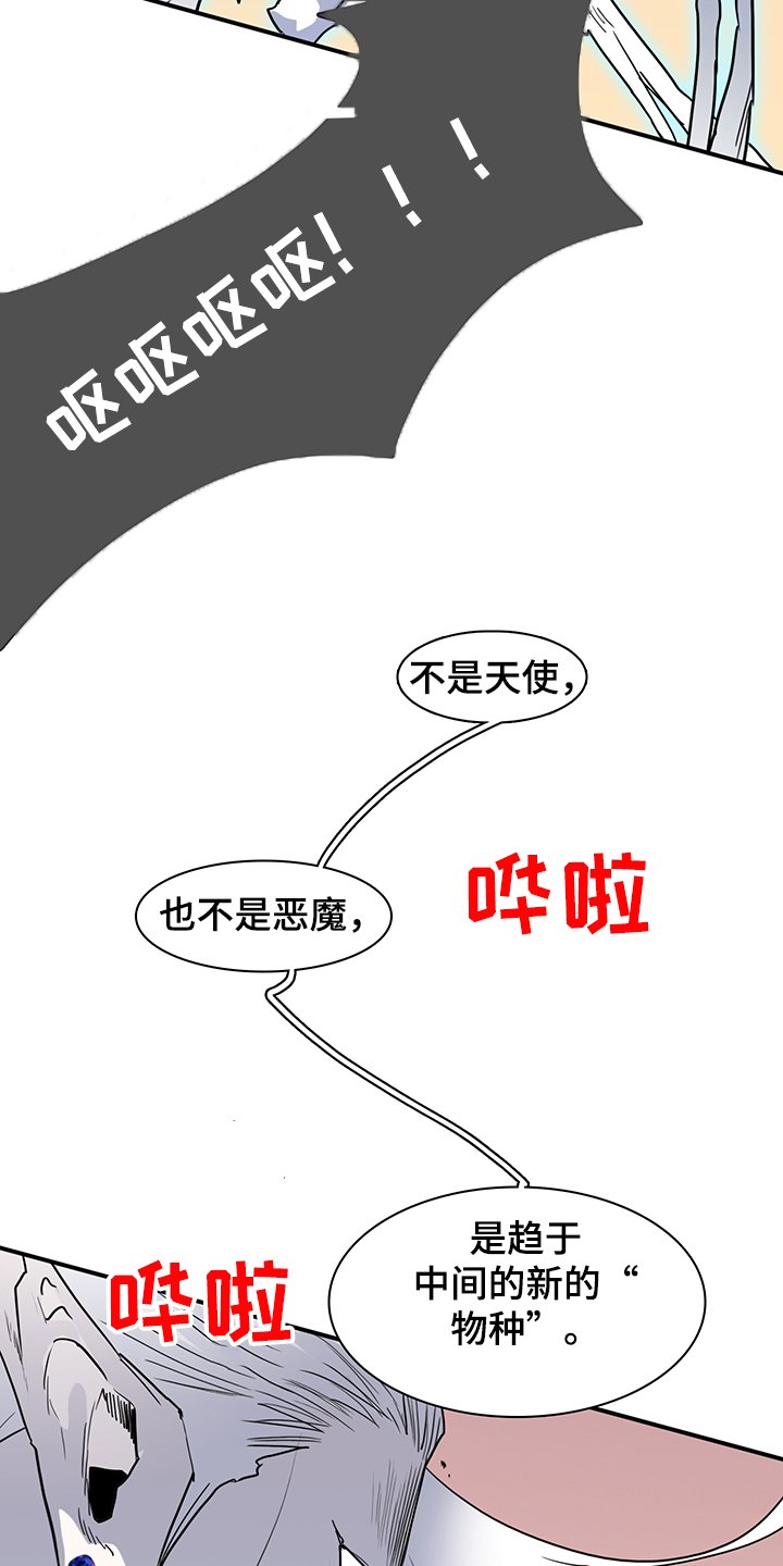 第234章：天使与恶魔的合作