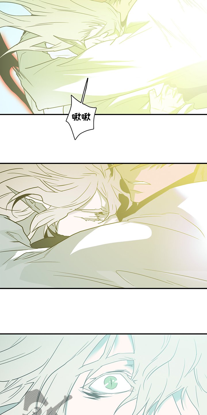 第235章：就这一次