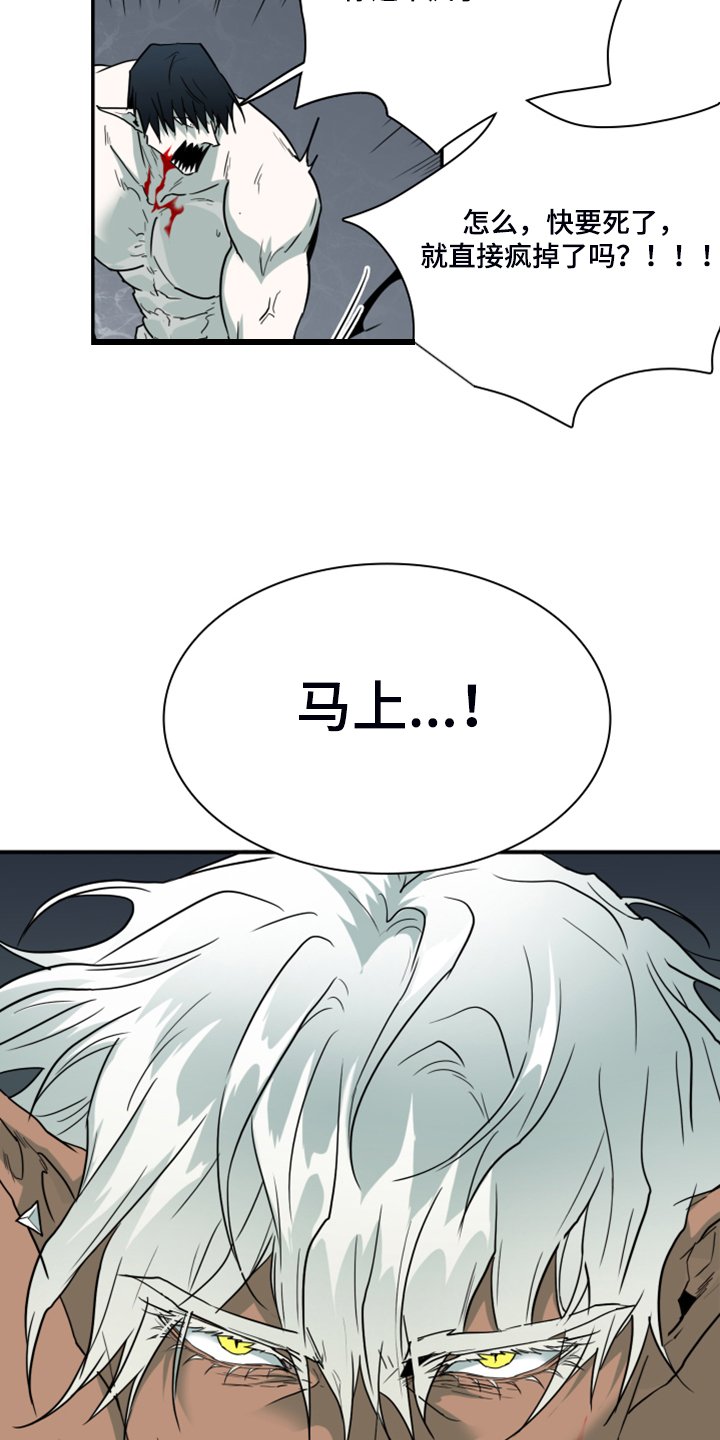 第239章：援军