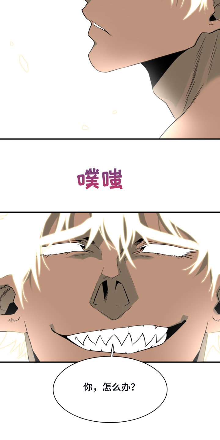 第241章：“没有”结局