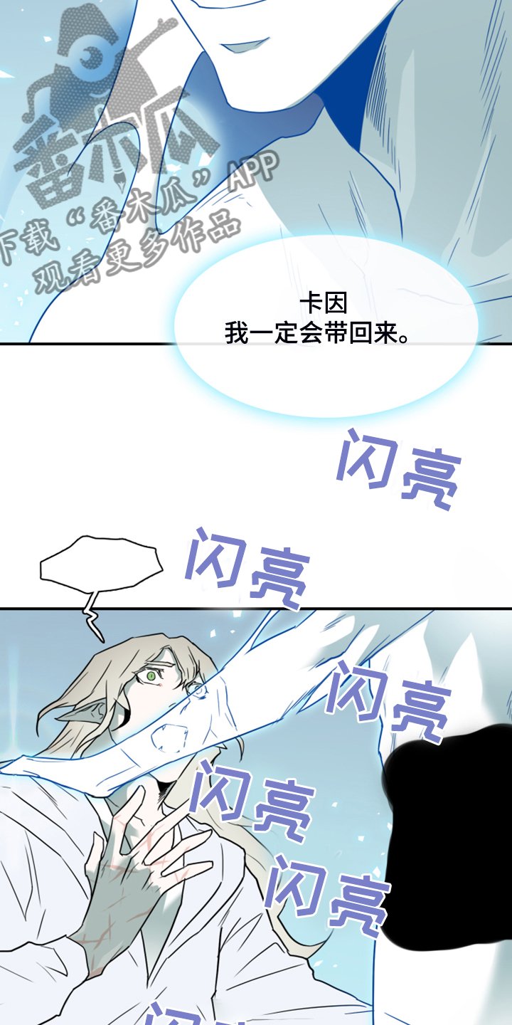 第244章：是真的吗