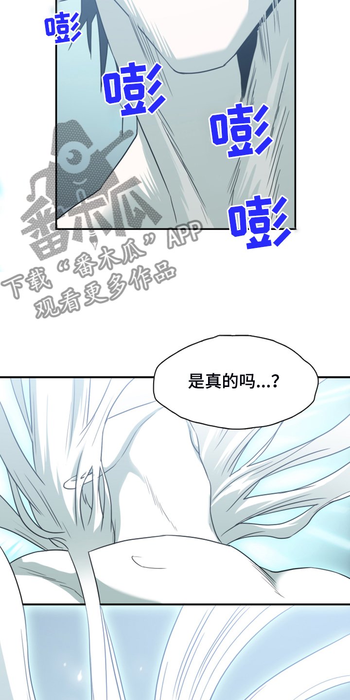 第244章：是真的吗