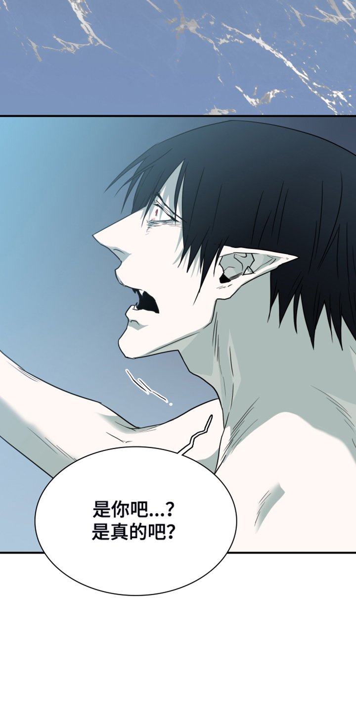 第245章：回归于无