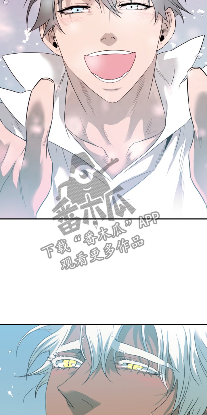 第245章：回归于无