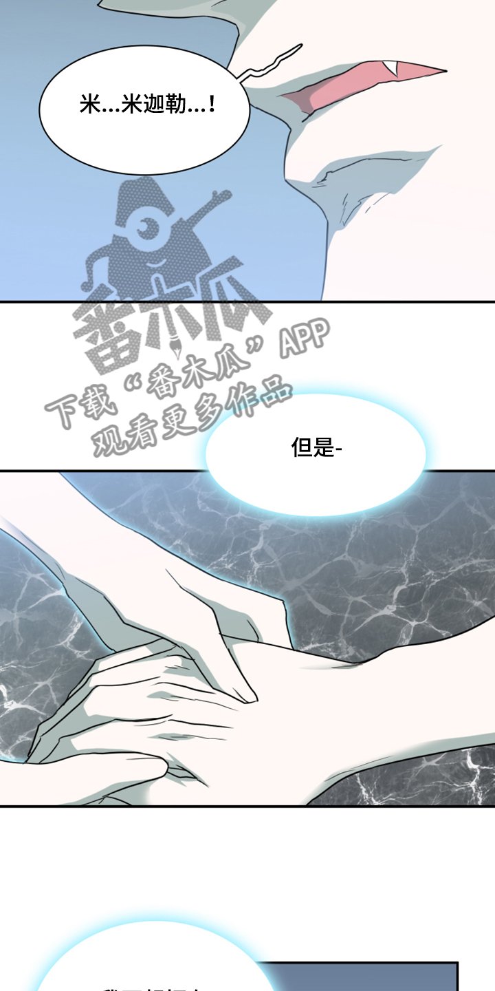 第245章：回归于无