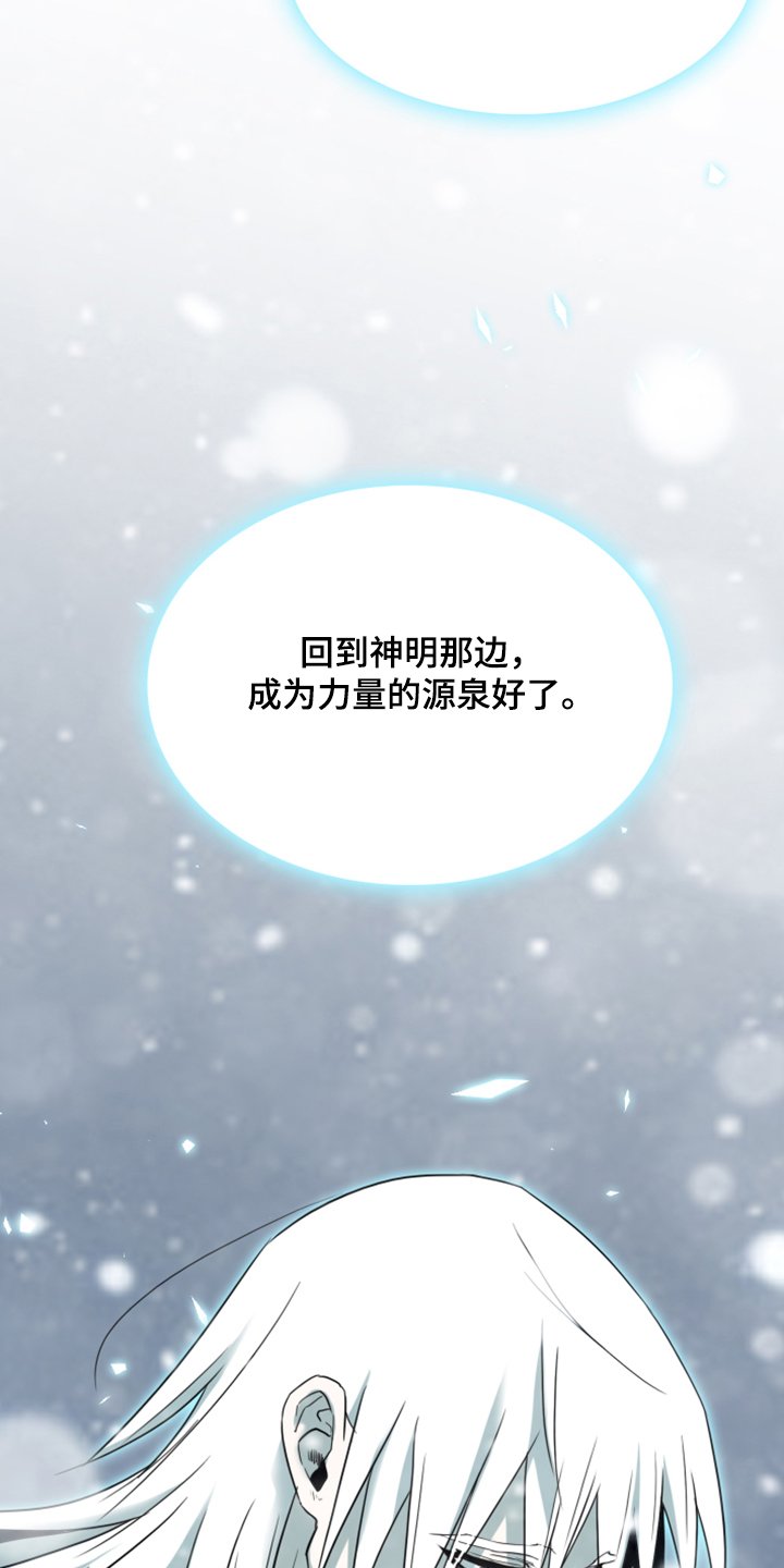 第245章：回归于无