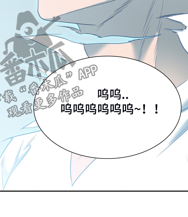 第246章：不要忘记我
