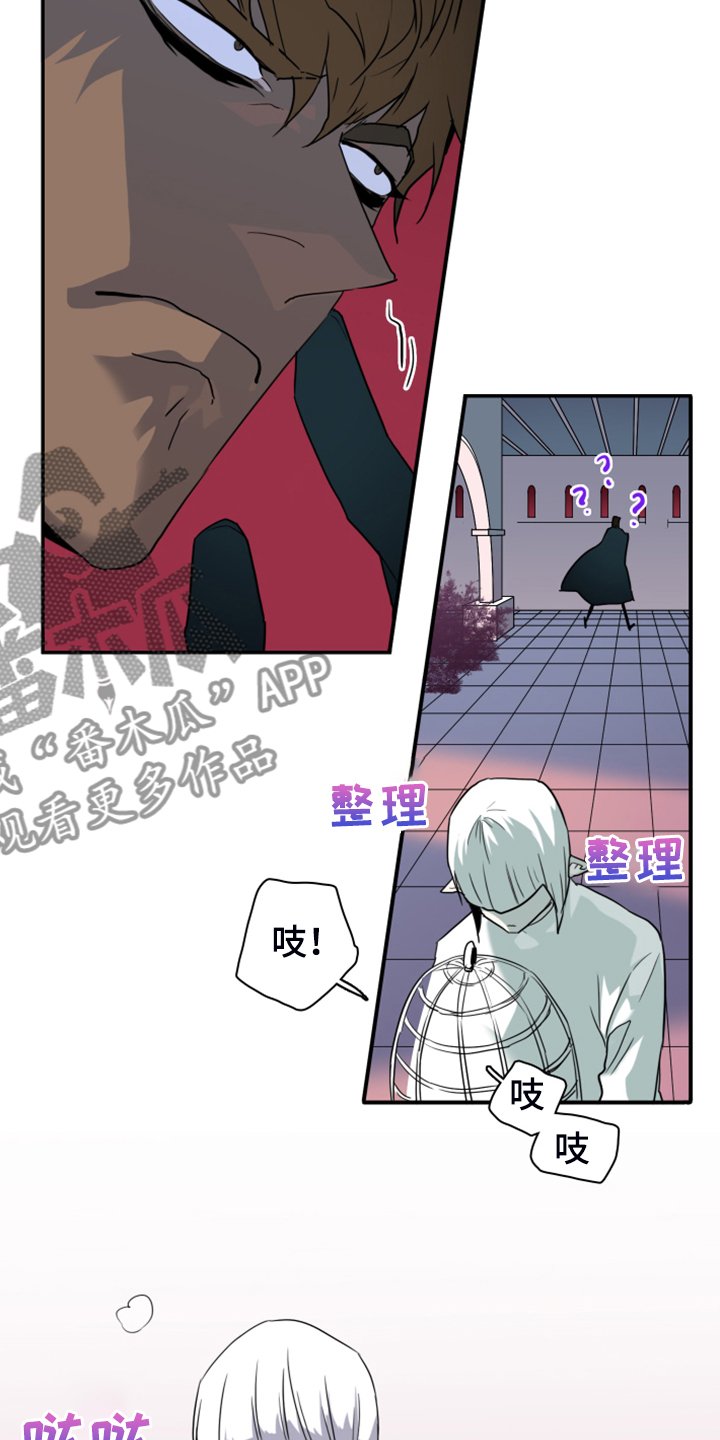 第247章：神性诞生