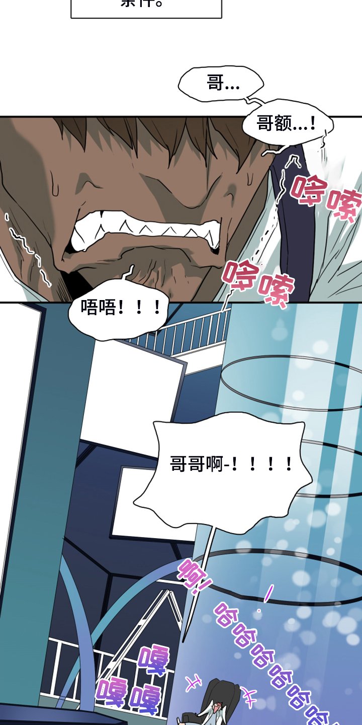 第248章：【完结】回归的人