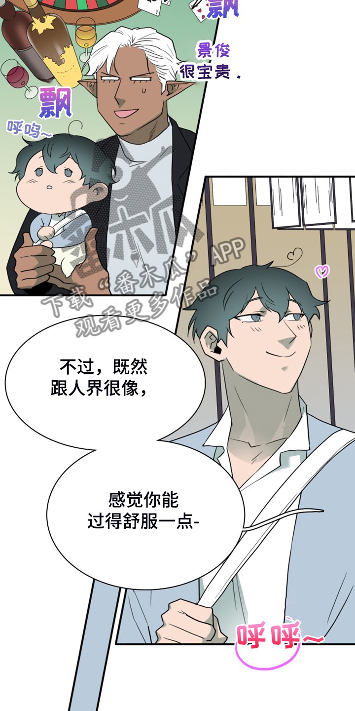 第250章：【番外】石像鬼区