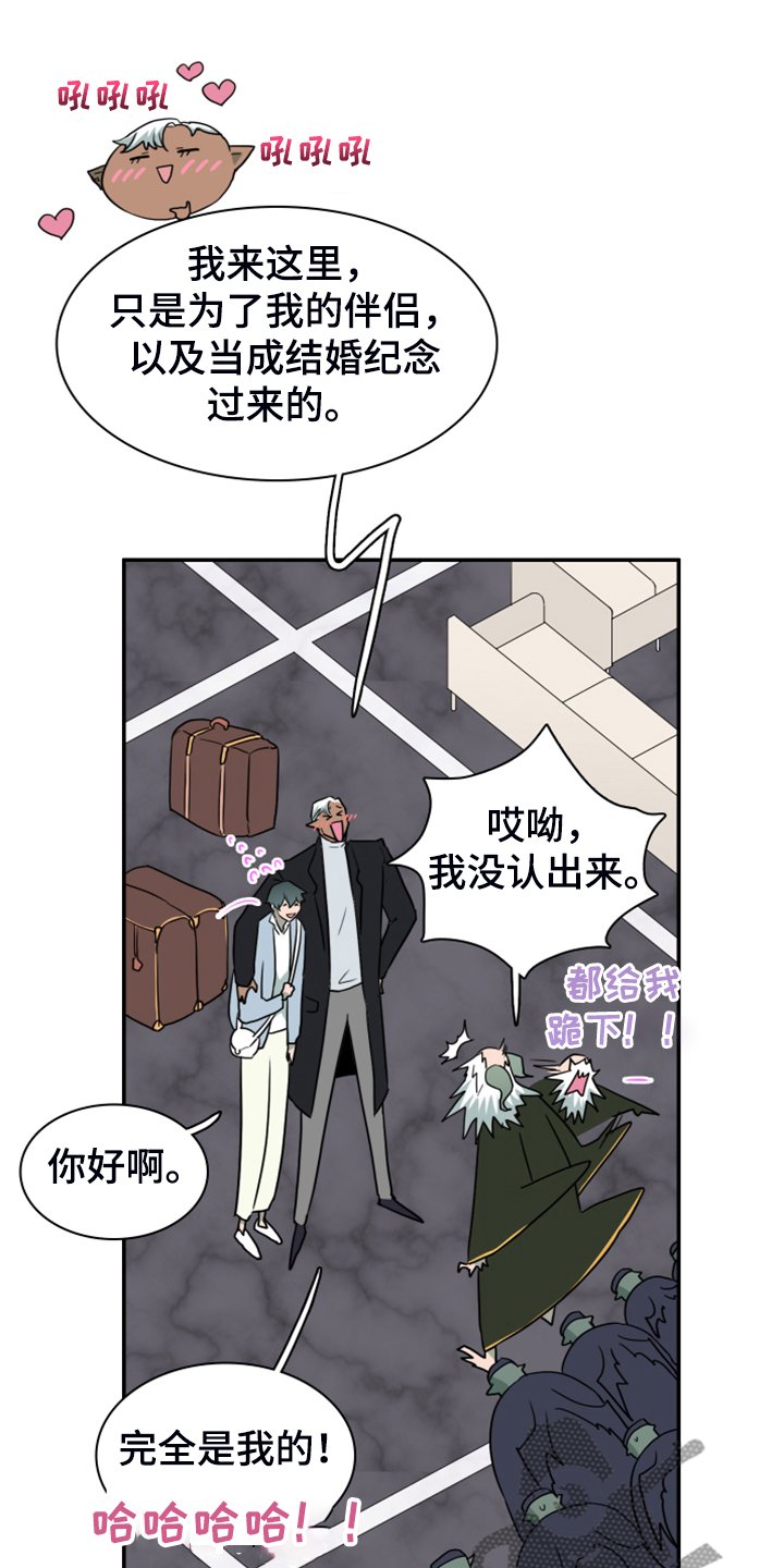 第250章：【番外】石像鬼区