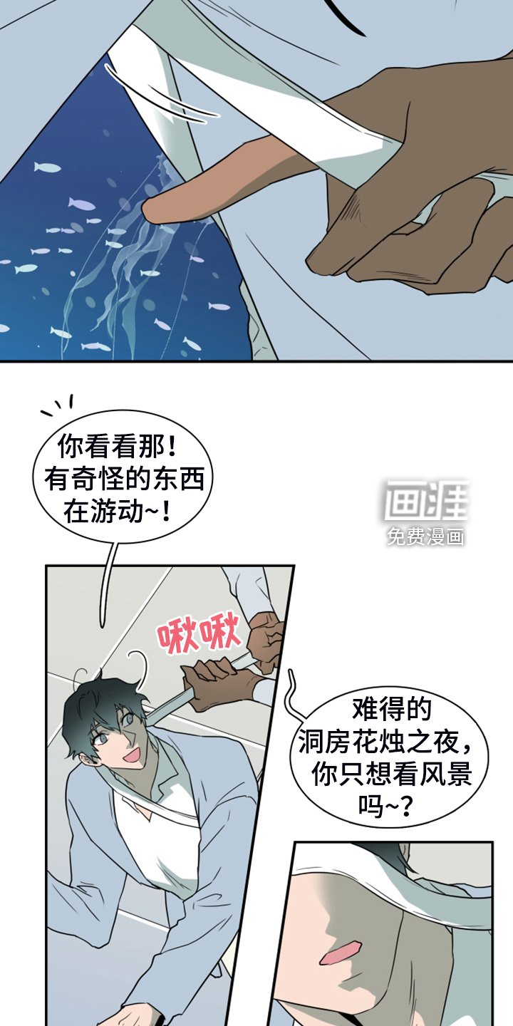 第251章：【番外】期待的洞房