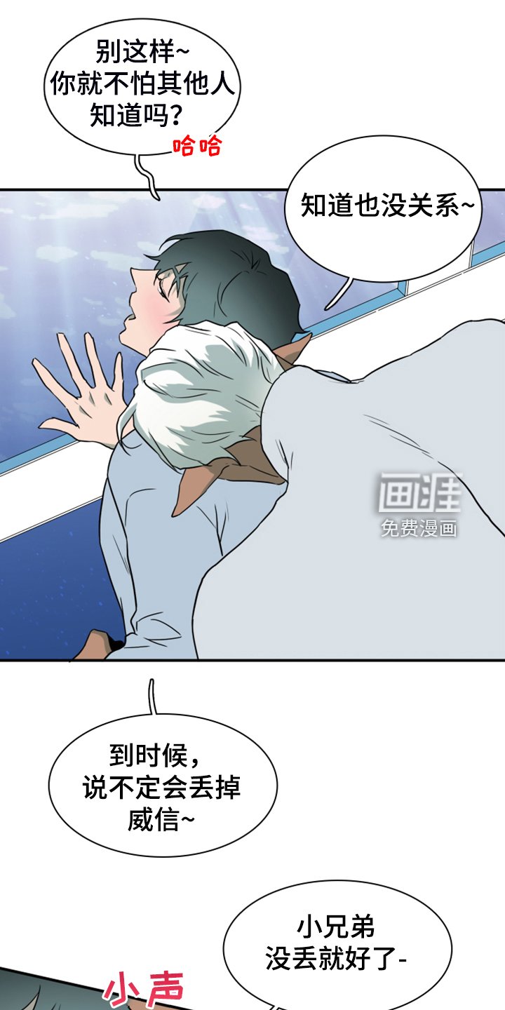 第251章：【番外】期待的洞房